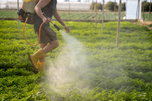 Best Residential Pest Control  in St Charles, IL