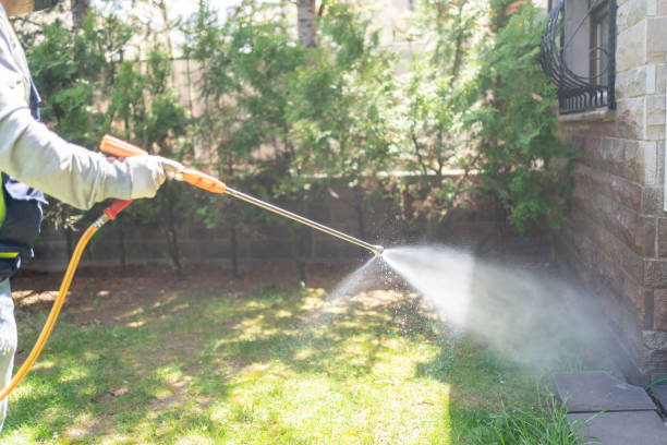 Best Termite Control Services  in St Charles, IL
