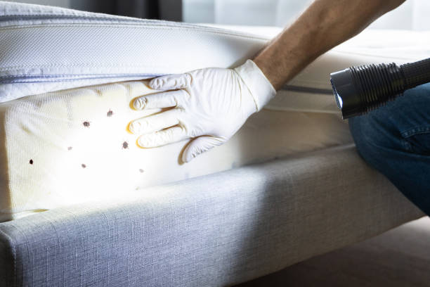 Best Commercial Pest Control Services  in St Charles, IL