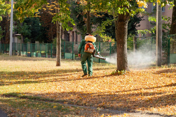 Best Best Pest Control Companies  in St Charles, IL