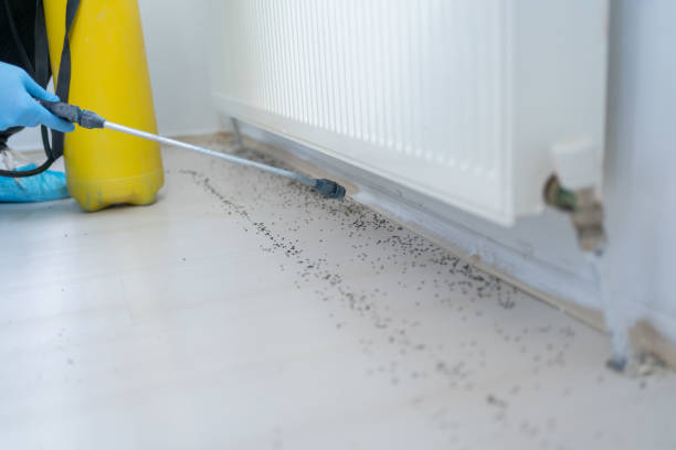 Best Bed Bug Extermination  in St Charles, IL