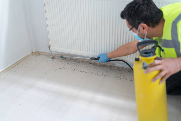 Trusted St Charles, IL Pest Control Experts