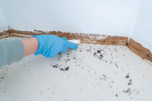 Best Best Pest Control Companies  in St Charles, IL