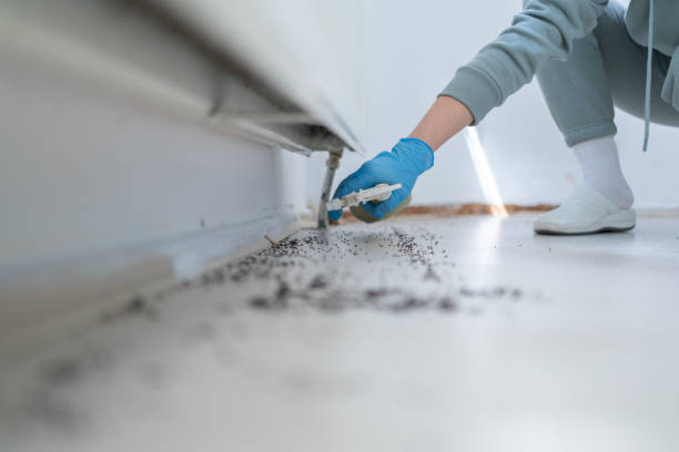 Best Pest Inspection Near Me  in St Charles, IL